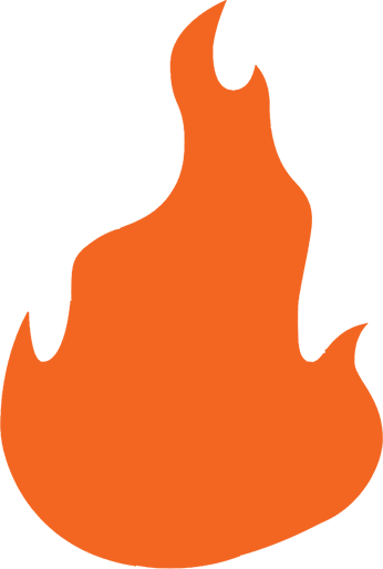 llama